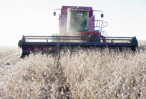 Jeszcze przez 3 dni można składać wnioski o przyznanie wsparcia na 