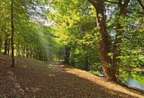 Zabytkowe parki dla gmin