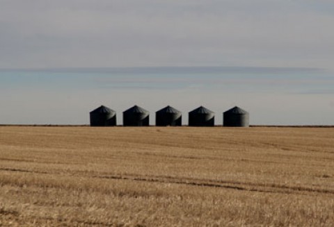 Kolejne miliony do kasy ANR