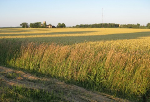 Nowe możliwości powiększenia gospodarstw rolnych