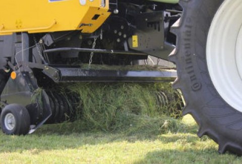 Polskie Zboża i Zielone Agro Show w ten weekend!