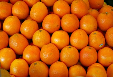 Oznakowania na opakowaniach owoców i warzyw eksportowanych z Polski do Federacji Rosyjskiej