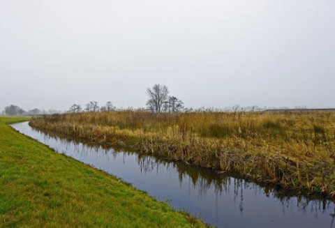 Rolnicy wreszcie upominają sie o swoje...