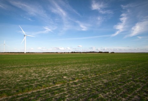 Rada Ministrów Rolnictwa i Rybołówstwa UE oraz podsumowanie polskiej prezydencji w Parlamencie Europejskim