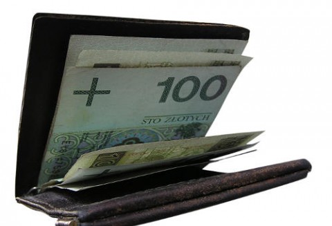 Blisko 5 miliardów złotych przekazała ARiMR rolnikom w ramach dopłat bezpośrednich za 2010r.