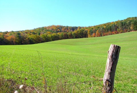 20 lat OT ANR w Gdańsku