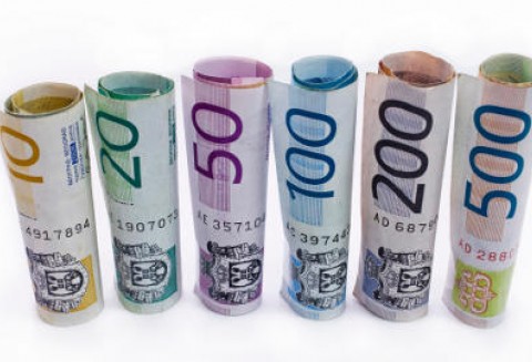 Blisko 6,3 miliarda złotych przekazała ARiMR rolnikom w ramach dopłat bezpośrednich za 2010 r.