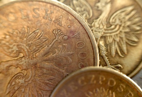 Lokalne Grupy Działania przyjmują wnioski o wsparcie inwestycji z PROW 2007-13. W Polsce działa 336 takich grup.