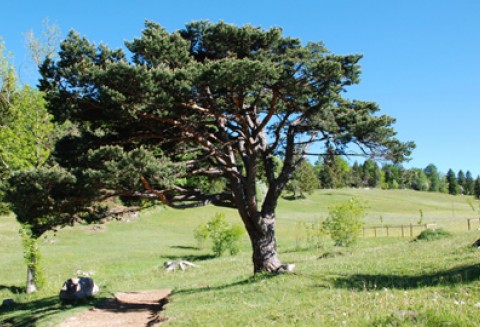 Rozporządzenie ws. szkoleń dla doradców
