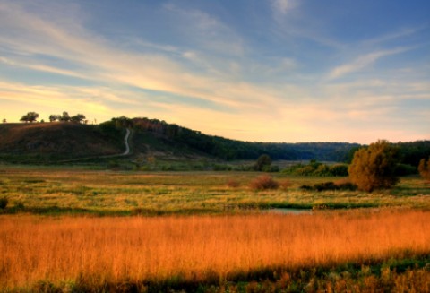 Rosja – Eksport zbóż wyniesie 15 mln ton