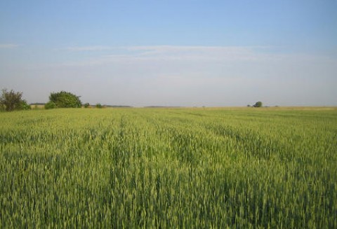 Czy ANR zdąży sprzedać ziemię Polakom?
