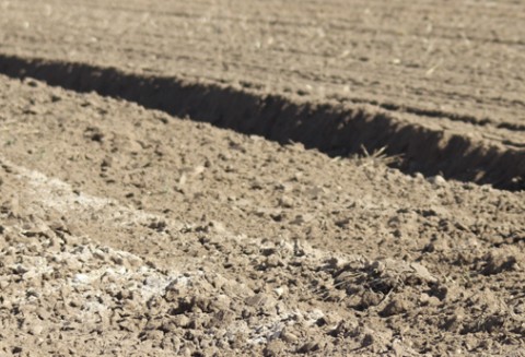 Sprzedaż gruntów inwestycyjnych w 2011 r.