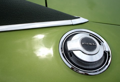 Holendrzy przyspieszają z biopaliwami