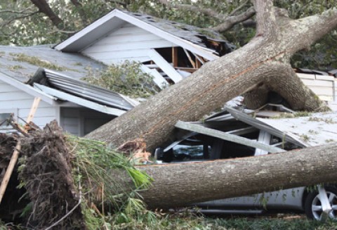 Rolnicy mogą skorzystać z preferencyjnie oprocentowanych kredytów oraz z udzielanych przez ARiMR poręczeń i gwarancji ich spłaty