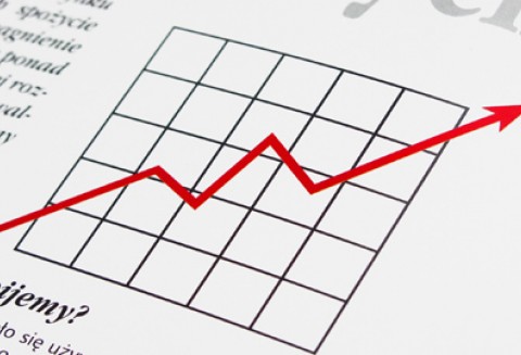 Wyniki kontroli przeprowadzonych przez Inspekcję JHARS w I kwartale 2012 roku