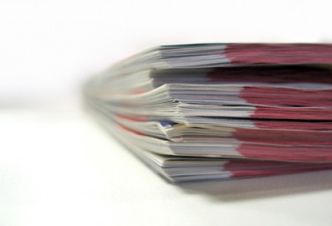 24 czerwca zakończył się tegoroczny nabór wniosków o przyznanie premii młodym rolnikom