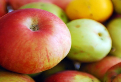 Targowe spotkania i rozmowy ministra Sawickiego