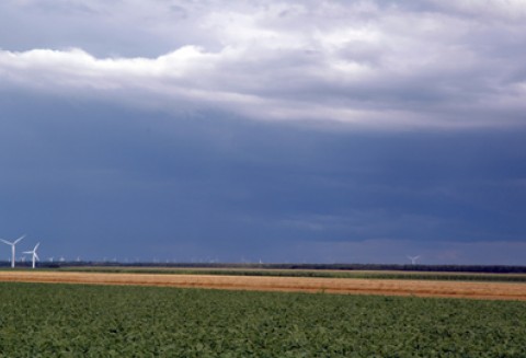 Jak to robią inni, czyli małe przetwórstwo za granicą