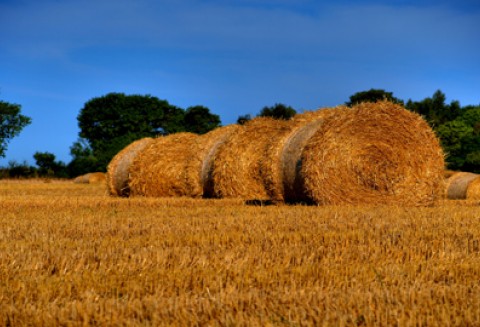 Spotkanie z Pracodawcami RP