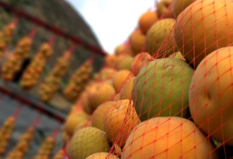 Chiny największym producentem puszkowanych brzoskwiń