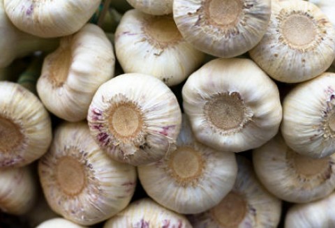 Nowe wielkości wolumenów importowych dla czosnku