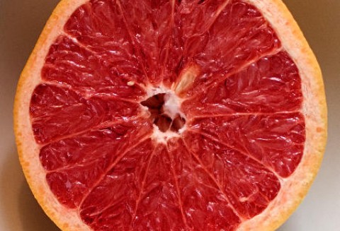 Rosja – Większy wolumen importowy owoców cytrusowych