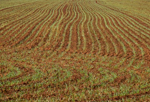 Komunikat w sprawie pomocy dla rolników