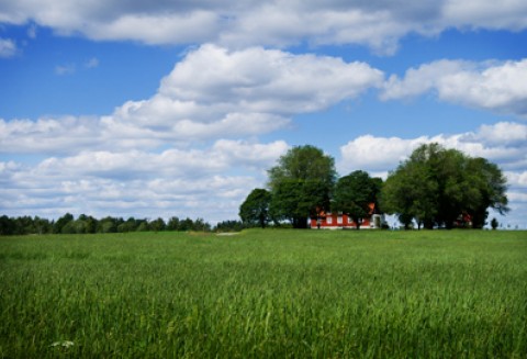 Spotkanie z COPA-COGECA i CEJA nt. reformy WPR