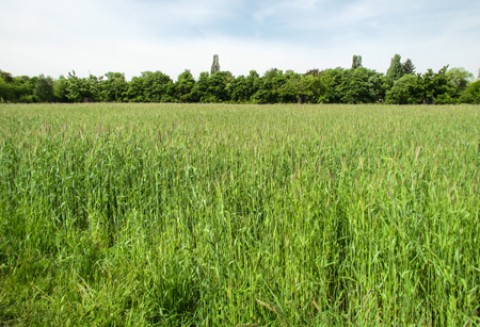 Spotkanie z rolniczymi organizacjami i związkami zawodowymi