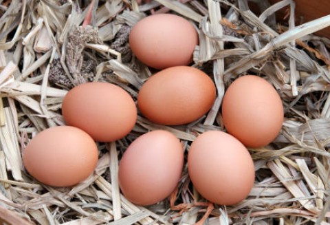 Inforacja zbiorcza o wynikach kontroli planowej w zakresie znakowania wybranych artykułów rolno - spożywczych