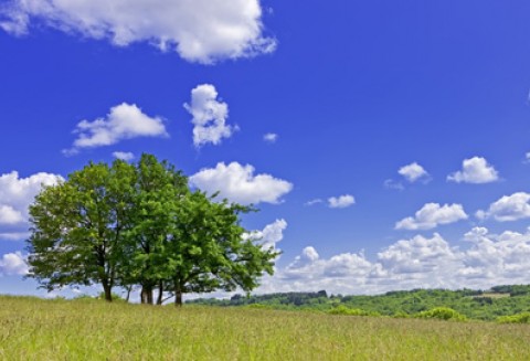 Rozmowy o rolnictwie z przedstawicielami francuskich mediów