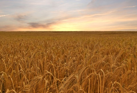 Spotkanie z Zarządem KZRKIOR
