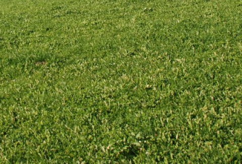 12 mln zł za działkę w Płońsku