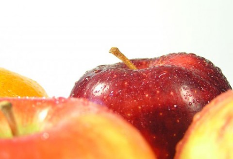 Program ochrony jabłoni dla produkujących owoce na rynek Federacji Rosyjskiej