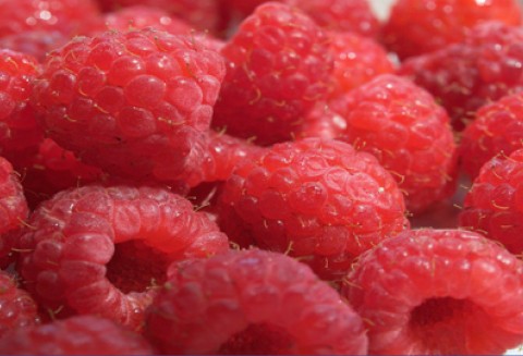 Rynek owoców miękkich - nowelizacja przepisów