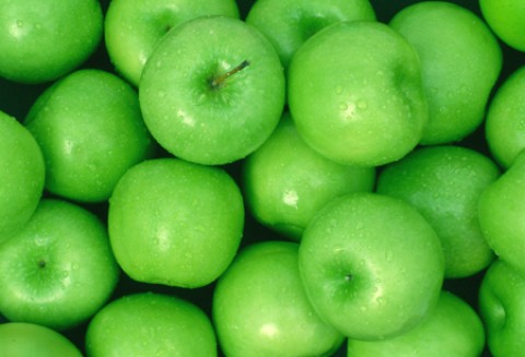 Konferencja promująca Program „Owoce w szkole”