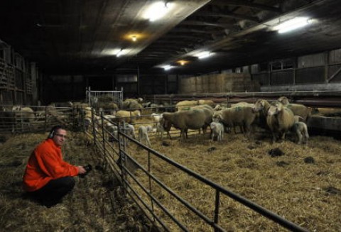 Wyjazd studyjny do Niemiec zrealizowany na zlecenie Ministerstwa Rolnictwa i Rozwoju Wsi