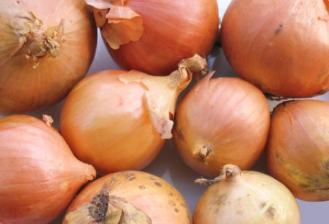 Szwajcaria – Większe zbiory cebuli