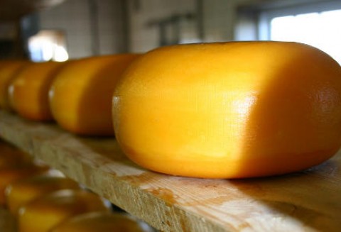 Rosja – Będą wyższe cła importowe na przetwory mleczne