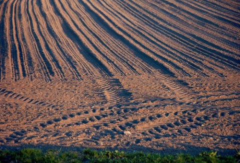 Agencja podsumowała 2010 rok