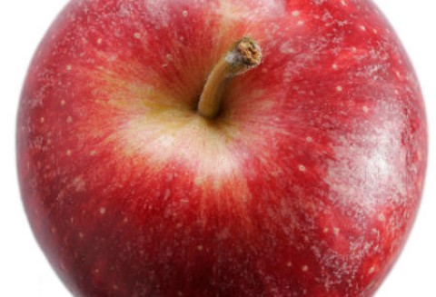 Komunikat Głównego Inspektoratu Ochrony Roślin i Nasiennictwa w sprawie systemu jakości żywności