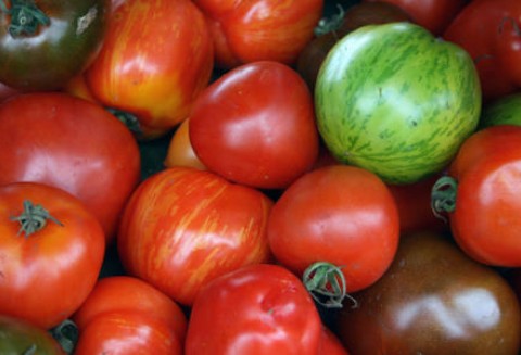 Spadek dostaw pomidorów do unijnych krajów