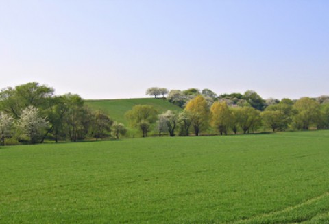 Dobry i ważny rok dla ANR