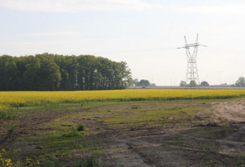Rządowa pomoc dla rolników