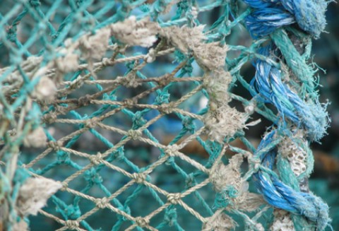 Rozmowy o rybołówstwie na Wybrzeżu Helskim