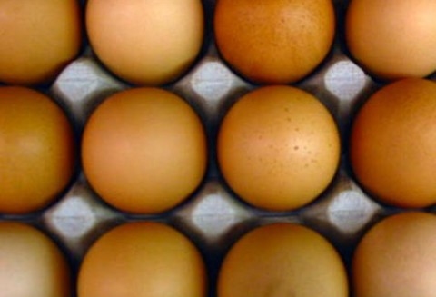 Rosja – Wzrost produkcji jaj