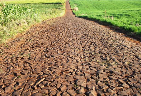 Potencjał ANR na MIPIM 2011