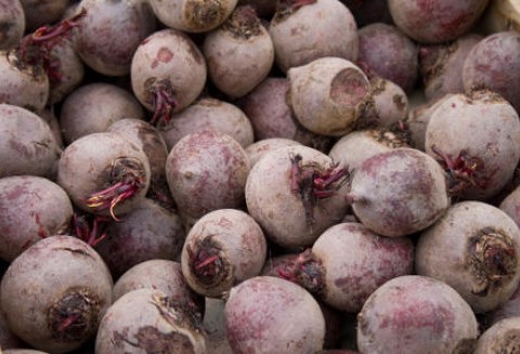 Wzrost cen warzyw w punktach skupu