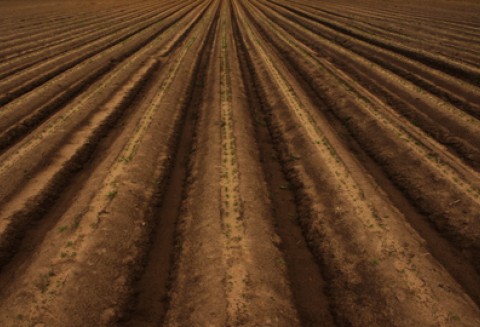 28. Kongres Polskiego Towarzystwa Gleboznawczego