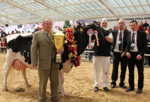 Lista laureatów VII Ogólnopolskiej Wystawy Bydła Hodowlanego „Sielinko 2012”